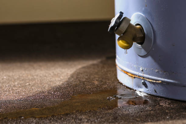 Best Residential water damage restoration  in Bellmawr, NJ
