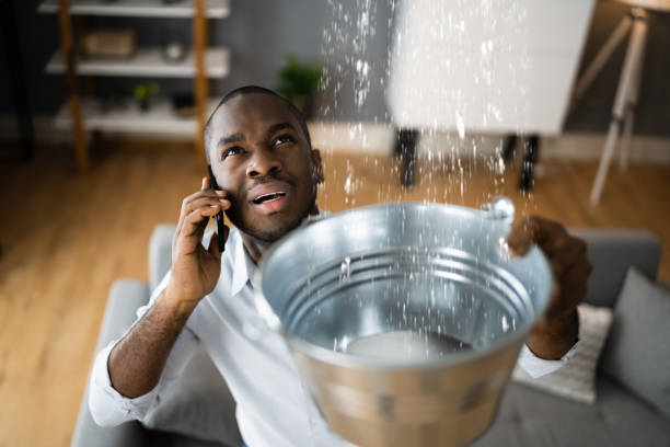 Best Emergency water extraction  in Bellmawr, NJ