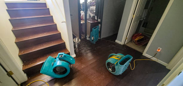 Best Residential water damage restoration  in Bellmawr, NJ