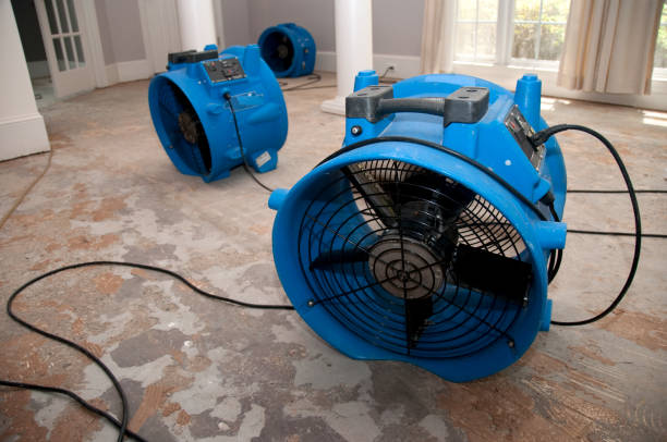 Best Local water damage restoration  in Bellmawr, NJ