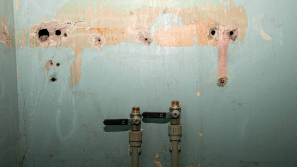 Best Flood restoration services  in Bellmawr, NJ