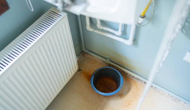 Best Water damage restoration specialists  in Bellmawr, NJ