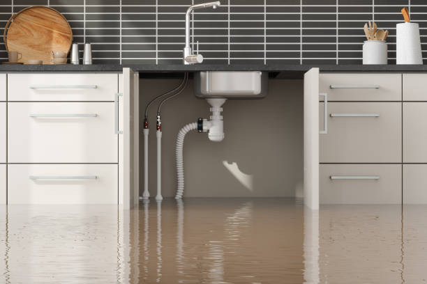 Best Ceiling water damage repair  in Bellmawr, NJ