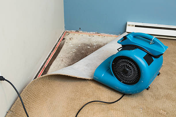 Best Ceiling water damage repair  in Bellmawr, NJ